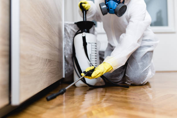 Best Pest Removal Services  in Wanakah, NY